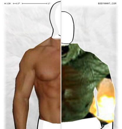 Torso Comparison