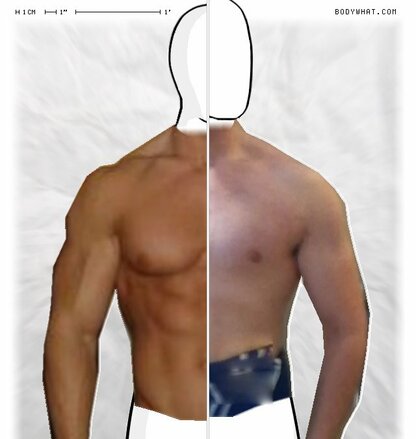 Torso Comparison