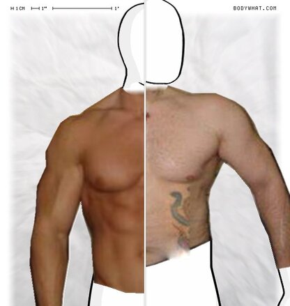 Torso Comparison