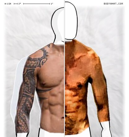 Torso Comparison
