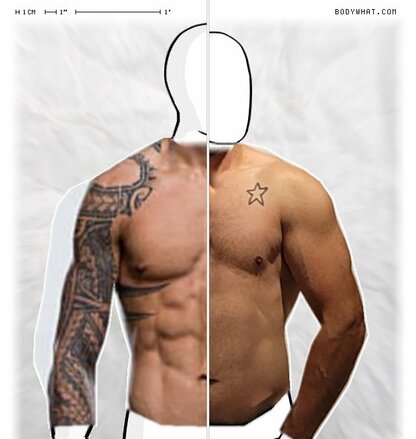 Torso Comparison
