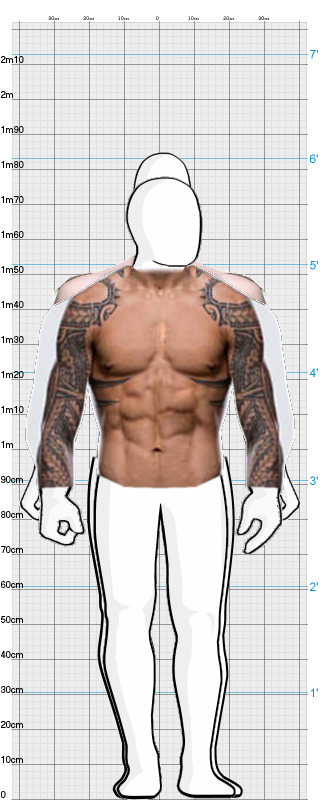 Full Size Comparison