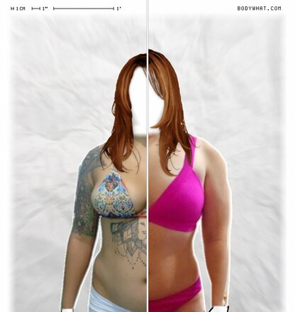 Torso Comparison