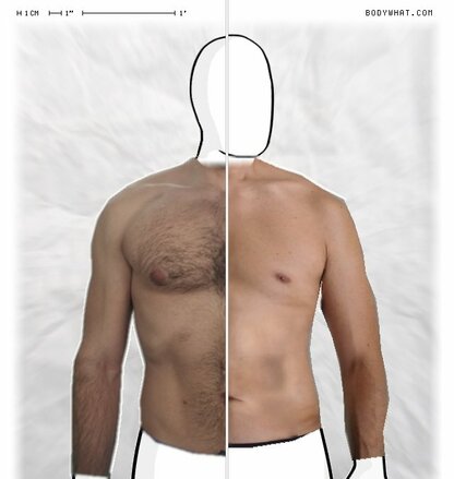 Torso Comparison