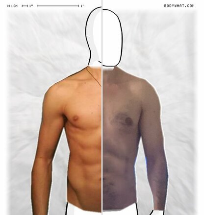 Torso Comparison