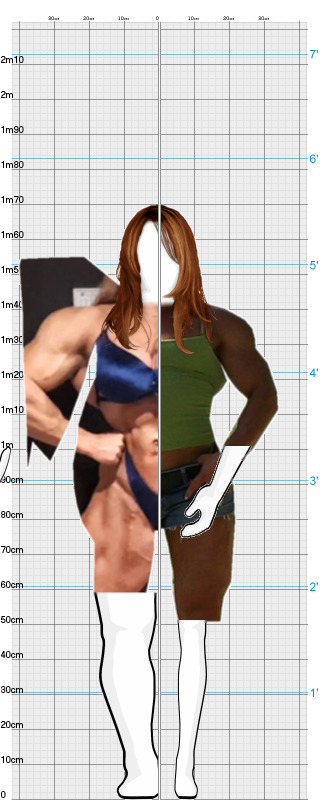 Full Size Comparison