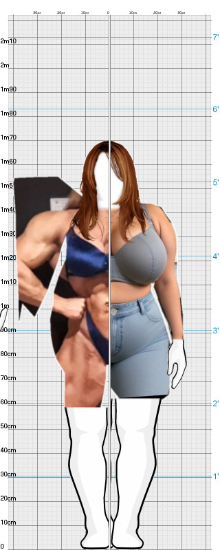 Full Size Comparison