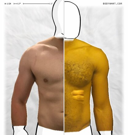 Torso Comparison