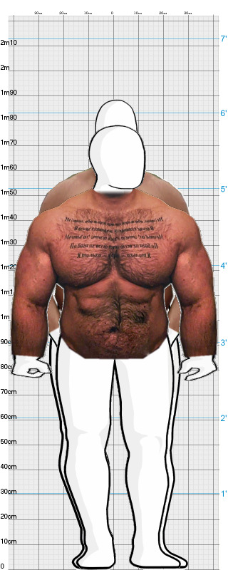 Full Size Comparison