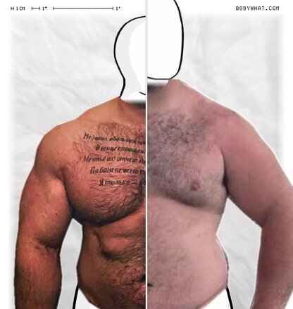 Torso Comparison