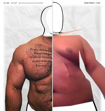 Torso Comparison