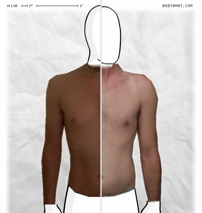 Torso Comparison