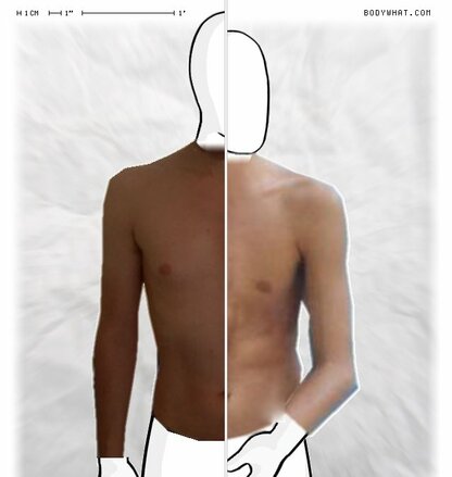 Torso Comparison