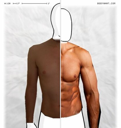 Torso Comparison