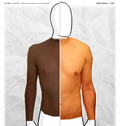 Torso Comparison