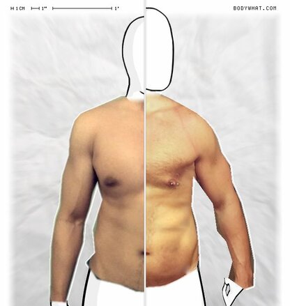 Torso Comparison