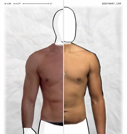 Torso Comparison