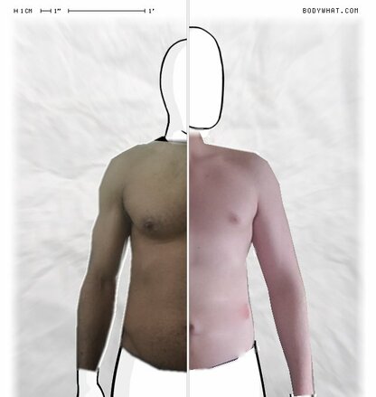 Torso Comparison