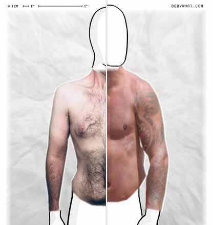 Torso Comparison