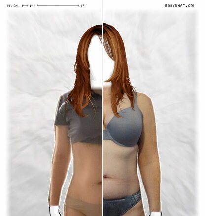 Torso Comparison