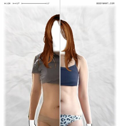 Torso Comparison