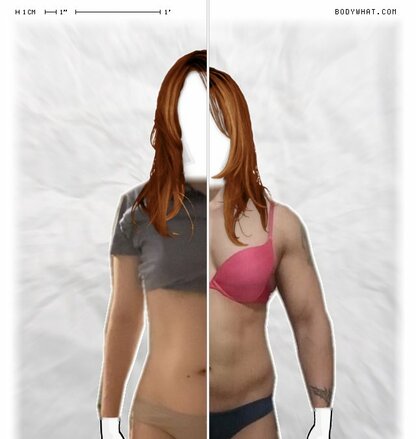 Torso Comparison