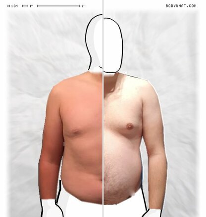 Torso Comparison