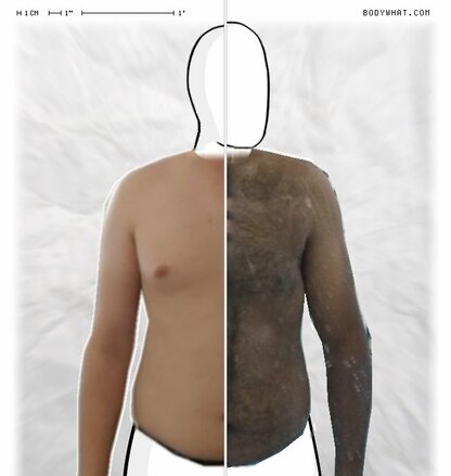 Torso Comparison