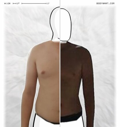 Torso Comparison