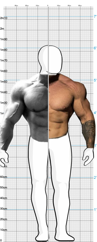 Full Size Comparison