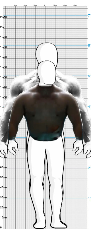 Full Size Comparison