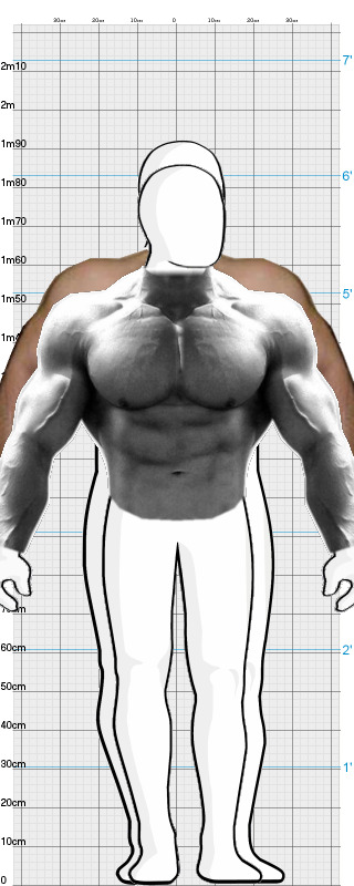 Full Size Comparison