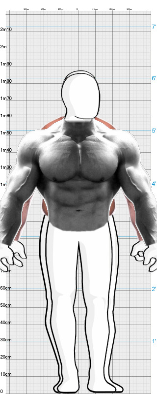 Full Size Comparison