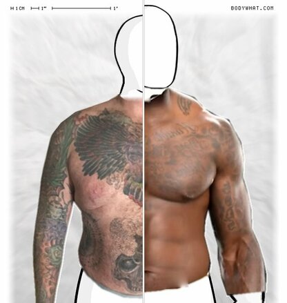 Torso Comparison