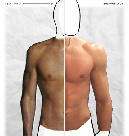 Torso Comparison