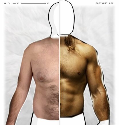 Torso Comparison