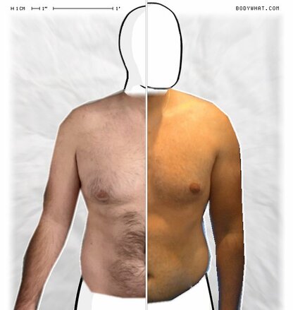 Torso Comparison