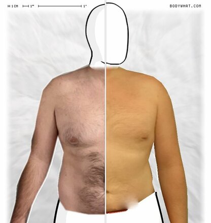 Torso Comparison