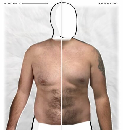 Torso Comparison