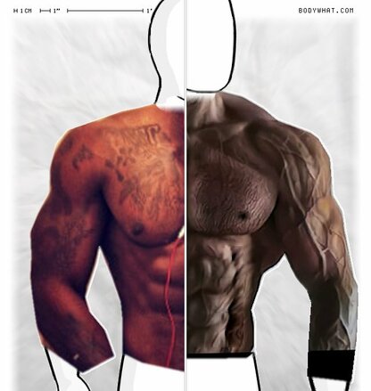 Torso Comparison