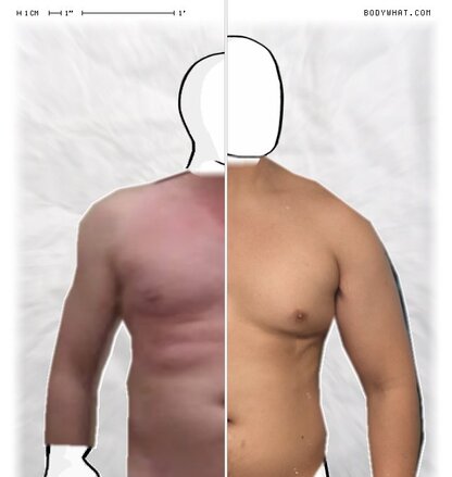 Torso Comparison