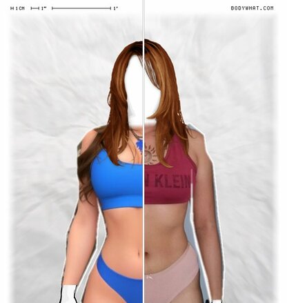 Torso Comparison