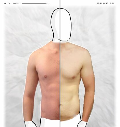 Torso Comparison