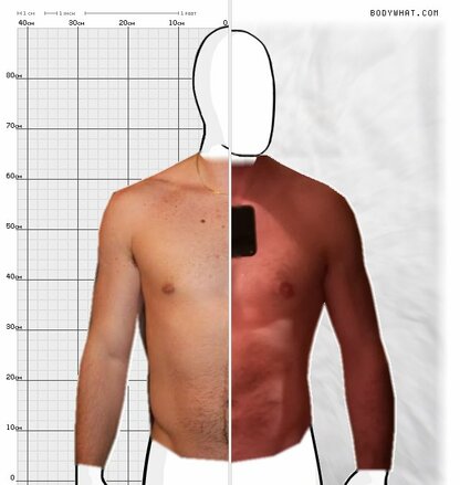 Torso Comparison