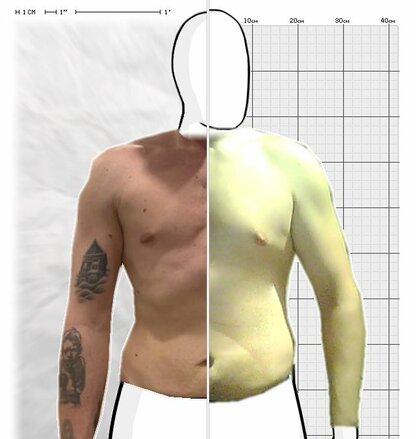 Torso Comparison