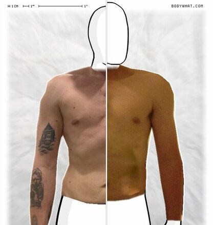 Torso Comparison