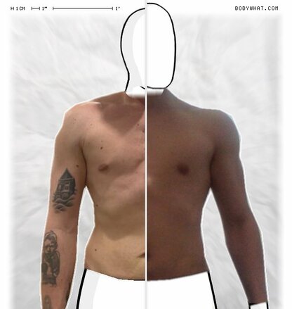 Torso Comparison