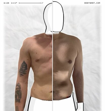 Torso Comparison