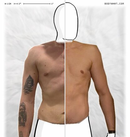 Torso Comparison