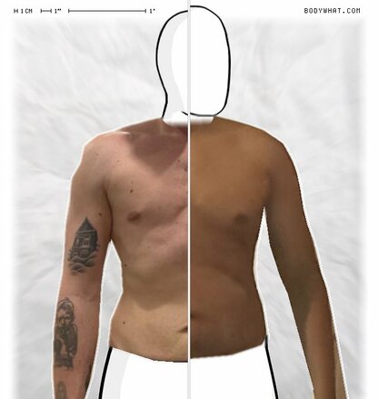 Torso Comparison